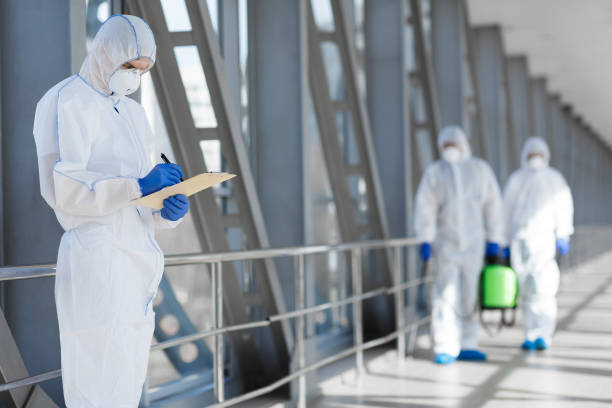 Best Mold Documentation for Insurance Claims  in Schaumburg, IL