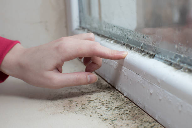 Best Indoor Air Quality Assessment  in Schaumburg, IL