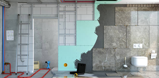 Schaumburg, IL Mold Removal Company