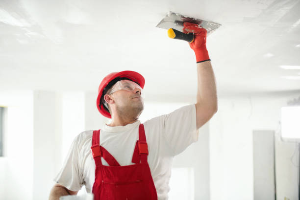Best Mold Damage Restoration  in Schaumburg, IL