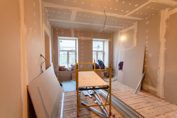 Best Comprehensive Air Testing for Mold Contaminants  in Schaumburg, IL