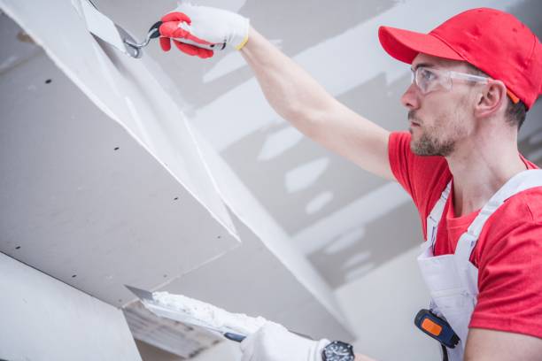 Best Water Damage & Mold Remediation  in Schaumburg, IL