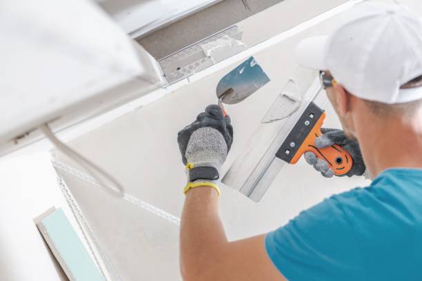 Best Post-Construction Mold Inspection  in Schaumburg, IL